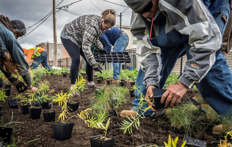 The National Wildlife Federation and partners are installing climate-adapted pollinator gardens in Philadelphia CREDIT: Jeanine Pohlhaus
